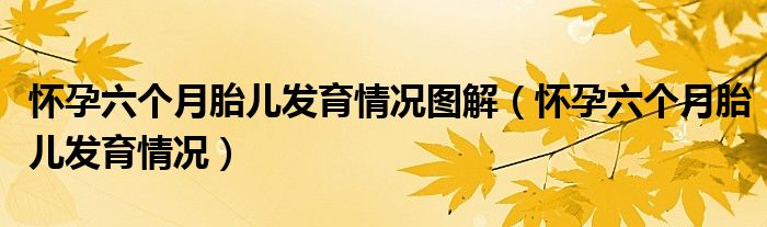 怀孕六个月胎儿发育情况图解（怀孕六个月胎儿发育情况）