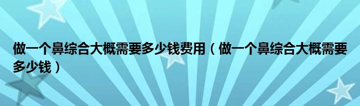 做一个鼻综合大概需要多少钱费用（做一个鼻综合大概需要多少钱）