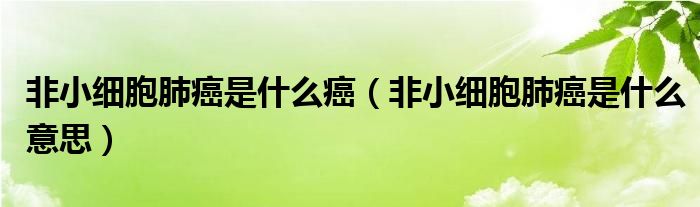 非小细胞肺癌是什么癌（非小细胞肺癌是什么意思）