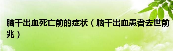 脑干出血死亡前的症状（脑干出血患者去世前兆）