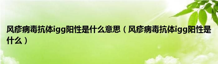 风疹病毒抗体igg阳性是什么意思（风疹病毒抗体igg阳性是什么）