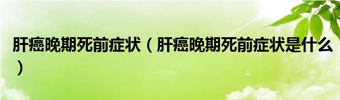 肝癌晚期死前症状（肝癌晚期死前症状是什么）