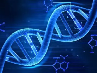 INTEGRA推出新的8行和12列自动化试剂储液槽