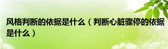 风格判断的依据是什么（判断心脏骤停的依据是什么）