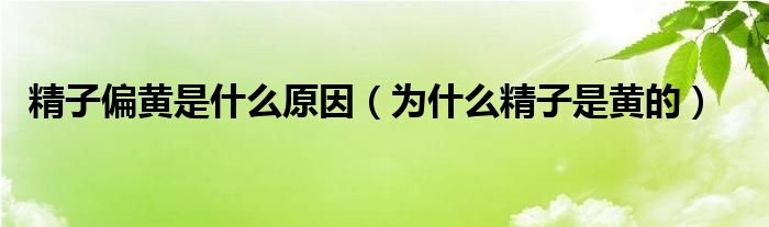 精子偏黄是什么原因（为什么精子是黄的）