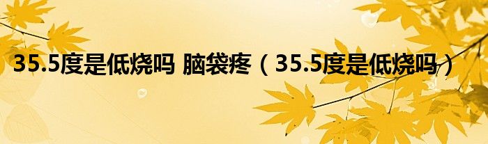 35.5度是低烧吗 脑袋疼（35.5度是低烧吗）