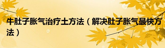 牛肚子胀气治疗土方法（解决肚子胀气最快方法）