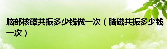 脑部核磁共振多少钱做一次（脑磁共振多少钱一次）