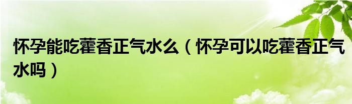 怀孕能吃藿香正气水么（怀孕可以吃藿香正气水吗）