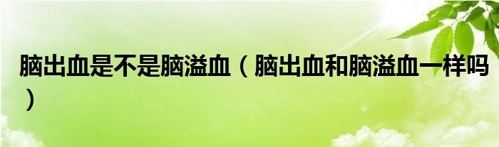 脑出血是不是脑溢血（脑出血和脑溢血一样吗）