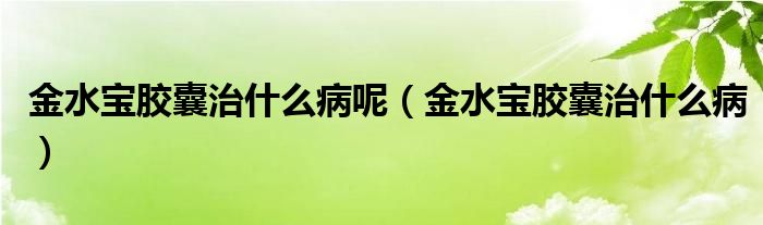 金水宝胶囊治什么病呢（金水宝胶囊治什么病）