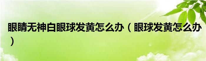 眼睛无神白眼球发黄怎么办（眼球发黄怎么办）