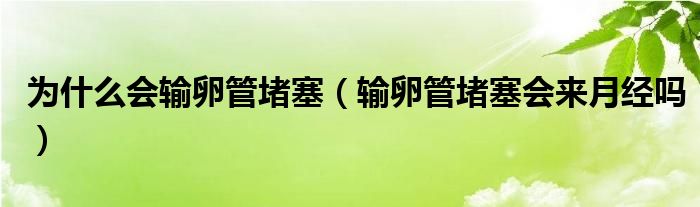 为什么会输卵管堵塞（输卵管堵塞会来月经吗）