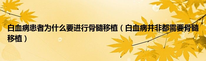 白血病患者为什么要进行骨髓移植（白血病并非都需要骨髓移植）