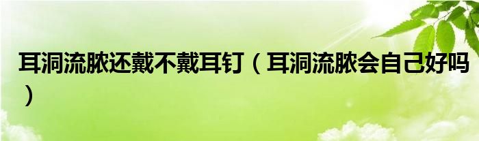 耳洞流脓还戴不戴耳钉（耳洞流脓会自己好吗）