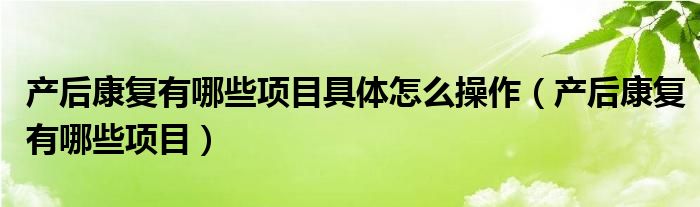 产后康复有哪些项目具体怎么操作（产后康复有哪些项目）