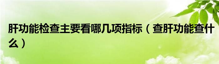 肝功能检查主要看哪几项指标（查肝功能查什么）