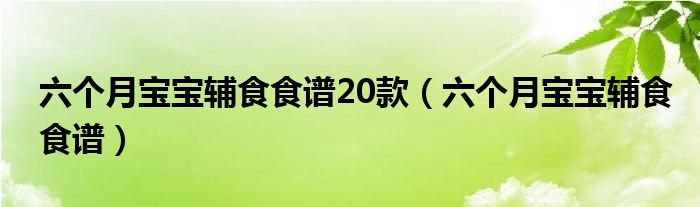 六个月宝宝辅食食谱20款（六个月宝宝辅食食谱）