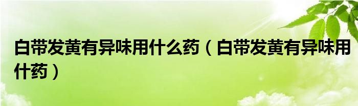 白带发黄有异味用什么药（白带发黄有异味用什药）