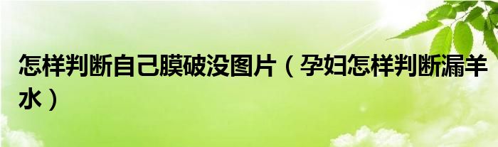 怎样判断自己膜破没图片（孕妇怎样判断漏羊水）