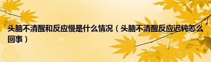 头脑不清醒和反应慢是什么情况（头脑不清醒反应迟钝怎么回事）