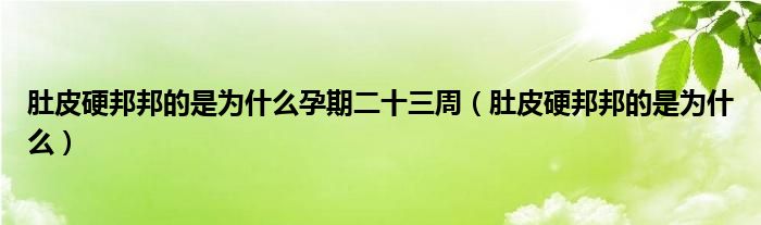 肚皮硬邦邦的是为什么孕期二十三周（肚皮硬邦邦的是为什么）