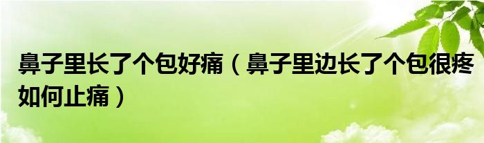 鼻子里长了个包好痛（鼻子里边长了个包很疼如何止痛）