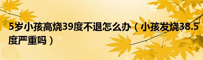 5岁小孩高烧39度不退怎么办（小孩发烧38.5度严重吗）