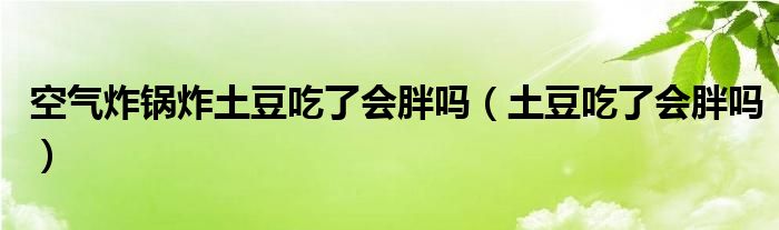 空气炸锅炸土豆吃了会胖吗（土豆吃了会胖吗）