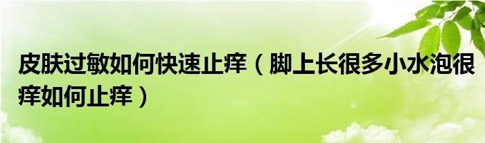 皮肤过敏如何快速止痒（脚上长很多小水泡很痒如何止痒）