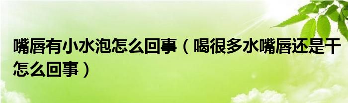 嘴唇有小水泡怎么回事（喝很多水嘴唇还是干怎么回事）