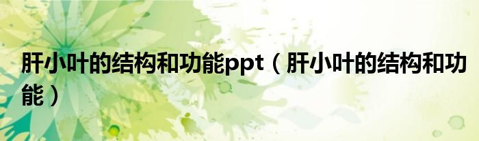 肝小叶的结构和功能ppt（肝小叶的结构和功能）