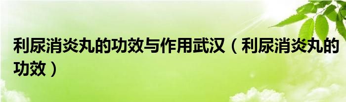 利尿消炎丸的功效与作用武汉（利尿消炎丸的功效）