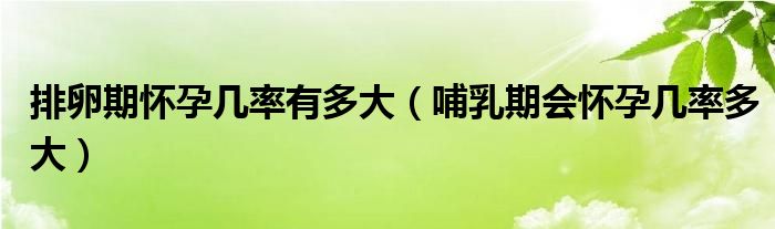 排卵期怀孕几率有多大（哺乳期会怀孕几率多大）