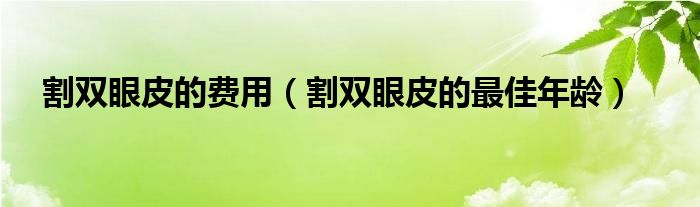 割双眼皮的费用（割双眼皮的最佳年龄）