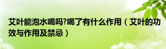 艾叶能泡水喝吗?喝了有什么作用（艾叶的功效与作用及禁忌）