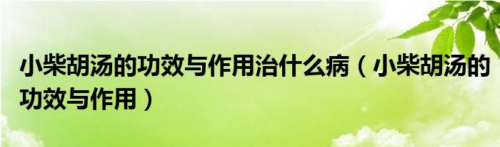 小柴胡汤的功效与作用治什么病（小柴胡汤的功效与作用）