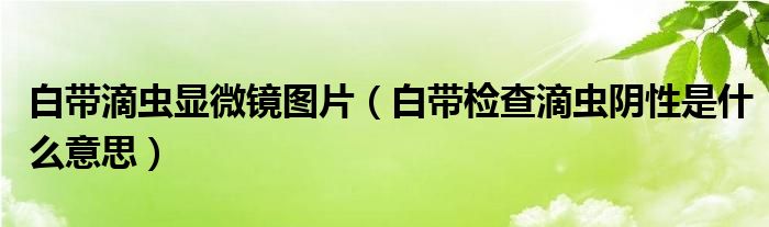 白带滴虫显微镜图片（白带检查滴虫阴性是什么意思）