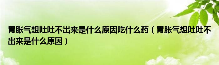 胃胀气想吐吐不出来是什么原因吃什么药（胃胀气想吐吐不出来是什么原因）