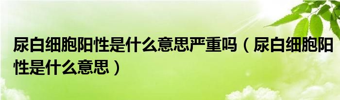 尿白细胞阳性是什么意思严重吗（尿白细胞阳性是什么意思）