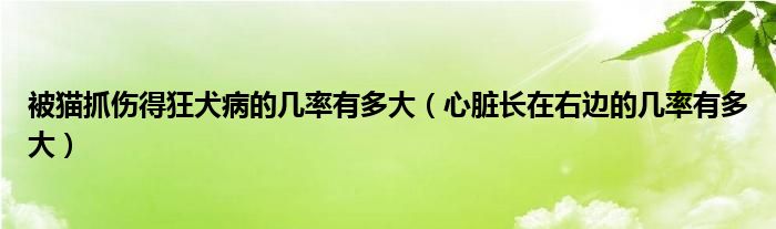 被猫抓伤得狂犬病的几率有多大（心脏长在右边的几率有多大）