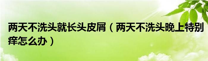 两天不洗头就长头皮屑（两天不洗头晚上特别痒怎么办）