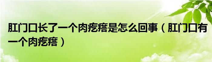 肛门口长了一个肉疙瘩是怎么回事（肛门口有一个肉疙瘩）