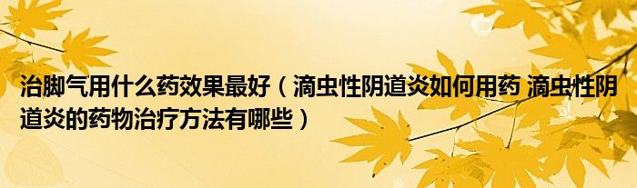 治脚气用什么药效果最好（滴虫性阴道炎如何用药 滴虫性阴道炎的药物治疗方法有哪些）