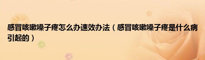 感冒咳嗽嗓子疼怎么办速效办法（感冒咳嗽嗓子疼是什么病引起的）