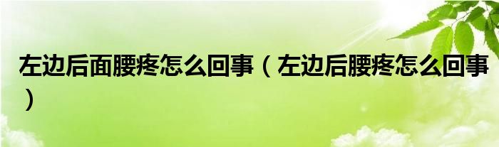 左边后面腰疼怎么回事（左边后腰疼怎么回事）