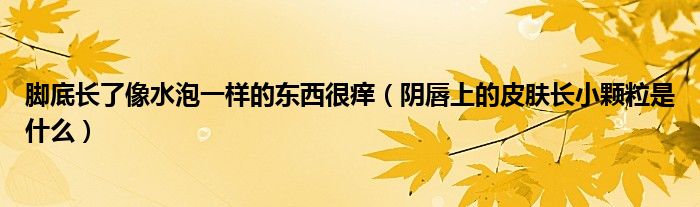 脚底长了像水泡一样的东西很痒（阴唇上的皮肤长小颗粒是什么）