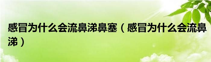 感冒为什么会流鼻涕鼻塞（感冒为什么会流鼻涕）