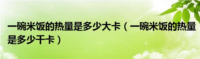 一碗米饭的热量是多少大卡（一碗米饭的热量是多少千卡）