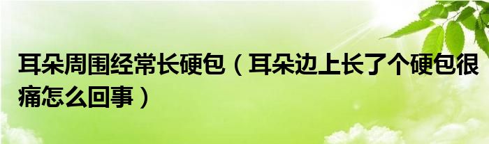 耳朵周围经常长硬包（耳朵边上长了个硬包很痛怎么回事）